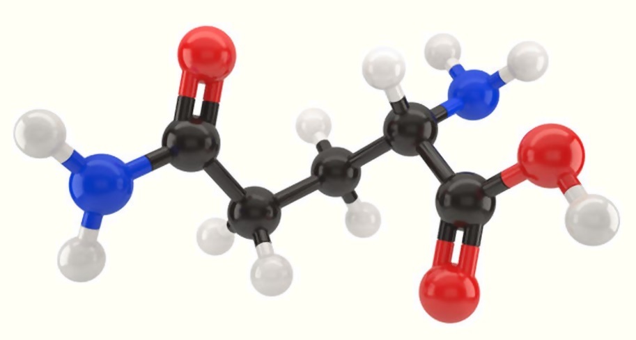 amino acids